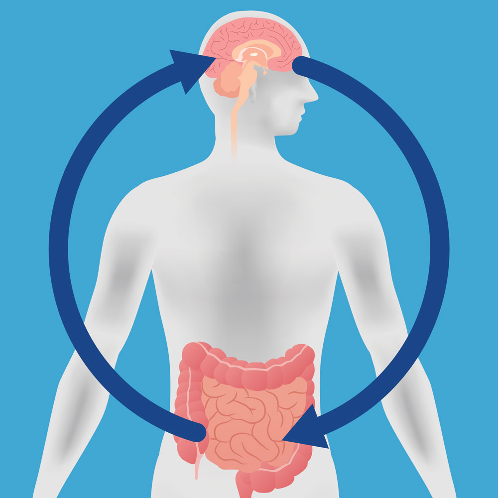 There is a direct connection between brain health and healthy gut